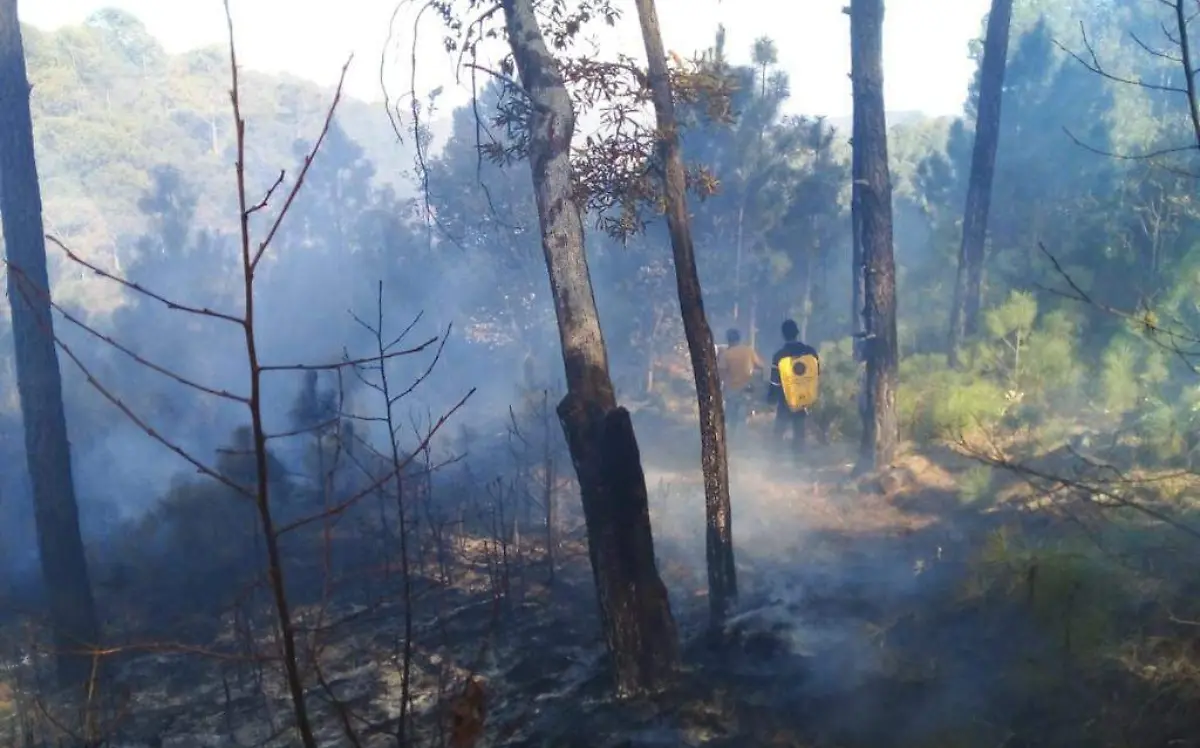 INCENDIOS FOTO ARCHIVO DE CONAFOR